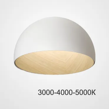 Потолочный светильник BARA B D50 White Трехцветный свет