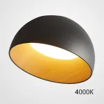 Потолочный светильник BARA A D35 Black 4000К от ImperiumLoft