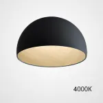 Потолочный светильник BARA B D35 Black 4000К от ImperiumLoft