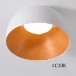 Потолочный светильник NORDA A White 4000К от ImperiumLoft