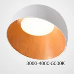 Потолочный светильник NORDA B White Трехцветный свет от ImperiumLoft