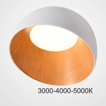 Потолочный светильник NORDA B White Трехцветный свет