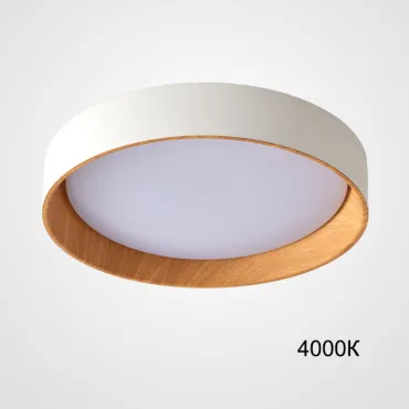 Потолочный светильник WENNY D45 4000К Потолочный светильник WENNY D45 4000К