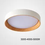 Потолочный светильник WENNY D45 Трехцветный свет от ImperiumLoft