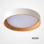 Потолочный светильник WENNY D55 4000К от ImperiumLoft