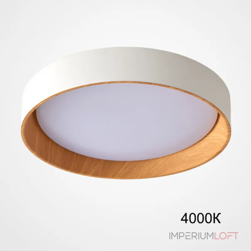 Потолочный светильник WENNY D55 4000К от ImperiumLoft Потолочный светильник WENNY D55 4000К от ImperiumLoft