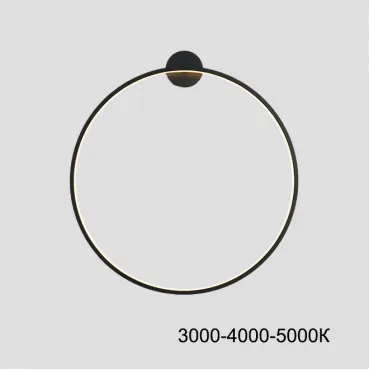 Настенный светильник GUARD B D80 Трехцветный свет