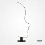 Торшер DAFNE Black 4000К от ImperiumLoft