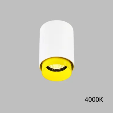 Точечный светильник RESTON White Yellow 4000К
