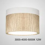 Точечный светильник FOG WOOD D11 White Трехцветный свет 12W от ImperiumLoft