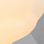 Подвесной светильник ODDLY D D55