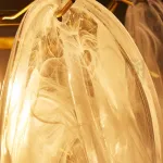 Подвесная люстра VIOLETTA CH A D60