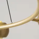 Подвесная люстра FLORRY RING D75