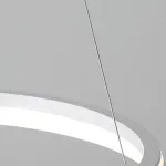 Подвесной светильник CHANETT D50 Black Трехцветный свет