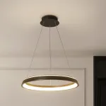 Подвесной светильник CHANETT D50 Black Трехцветный свет