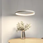 Подвесной светильник CHANETT D50 Black Трехцветный свет