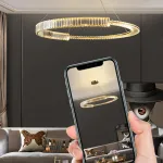 Подвесная люстра BERTOLDA C D60