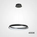 Подвесной светильник CHANETT D40 Black 4000К