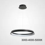 Подвесной светильник CHANETT D40 Black Трехцветный свет