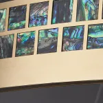 Подвесная люстра CANTATA LONG