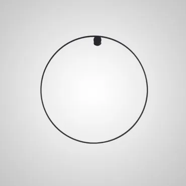 Настенный светильник WILD RING A D30 Black Настенный светильник WILD RING A D30 Black