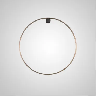 Настенный светильник WILD RING A D50 Brass Настенный светильник WILD RING A D50 Brass
