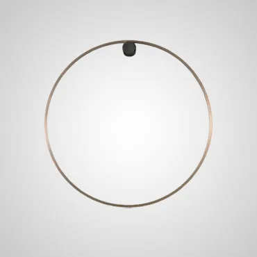 Настенный светильник WILD RING A D80 Brass Настенный светильник WILD RING A D80 Brass