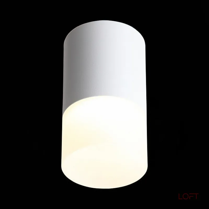 Точечный светильник TUGUR D11,8 White 4000 К от ImperiumLoft