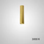 Точечный светильник PAN H20 Gold 3000 К от ImperiumLoft