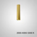 Точечный светильник PAN H80 Black Трехцветный свет от ImperiumLoft