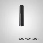 Точечный светильник PAN H80 Black Трехцветный свет от ImperiumLoft