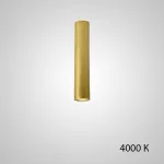 Точечный светильник PAN H30 Gold 4000 К от ImperiumLoft