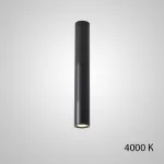 Точечный светильник PAN H50 Black 4000 К от ImperiumLoft