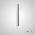 Точечный светильник PAN H50 White 4000 К от ImperiumLoft