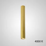 Точечный светильник PAN H80 Gold 4000 К от ImperiumLoft