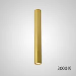 Точечный светильник PAN H80 Gold 3000 К от ImperiumLoft