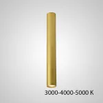 Точечный светильник PAN H80 Black Трехцветный свет от ImperiumLoft