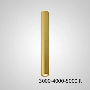 Точечный светильник PAN H80 Gold Трехцветный свет