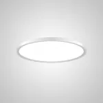 Потолочный светильник EXTRASLIM D50 White от ImperiumLoft