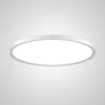 Потолочный светильник EXTRASLIM D100 White от ImperiumLoft