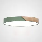 Потолочный светильник CLIP Green D40 от ImperiumLoft