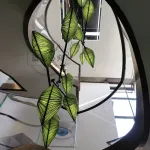 Подвесная люстра Aqua Creations Chestnut