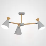 Потолочная люстра OLA D60,5 Gray