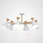 Потолочная люстра OLA D76.5 White