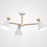 Потолочная люстра OLA D60,5 White