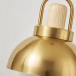 Серия золотых подвесных светильников с деревянным элементом ALISON GOLD Dark Brown от ImperiumLoft