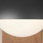 Серия компактных настенных светильников с плафоном купольной формы на овальном деревянном креплении LIVNY B White от ImperiumLoft