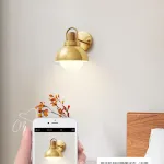 Серия золотых настенных светильников с деревянным элементом ALISON GOLD WALL Dark Brown от ImperiumLoft