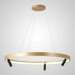 Подвесная люстра RAPID CH D60 Black Brass