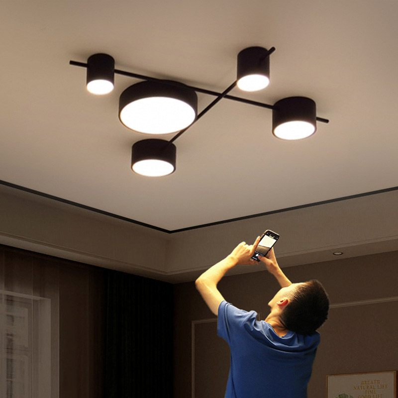 Потолочная люстра CHUTE D Black